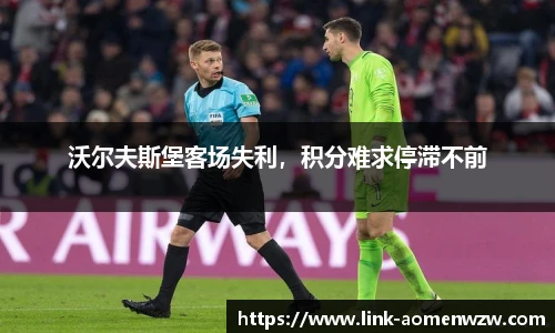 王中王资料大全